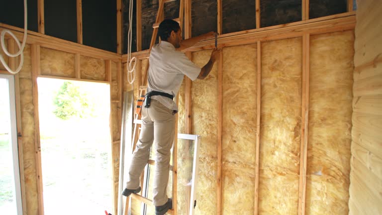 Best Insulation for New Construction  in Timberlake, VA