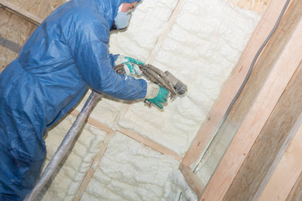 Best Eco-Friendly or Green Insulation Solutions  in Timberlake, VA